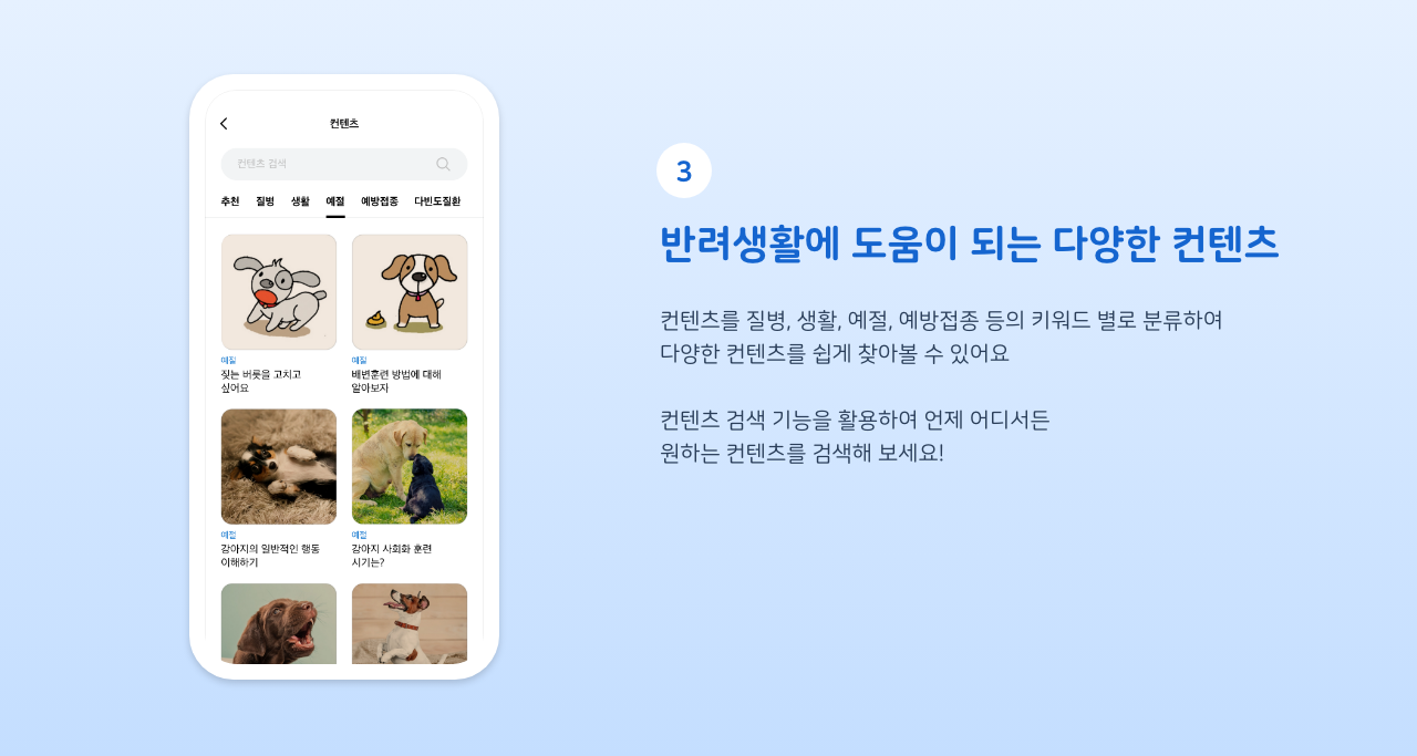 반려생활에 도움이 되는 다양한 컨텐츠