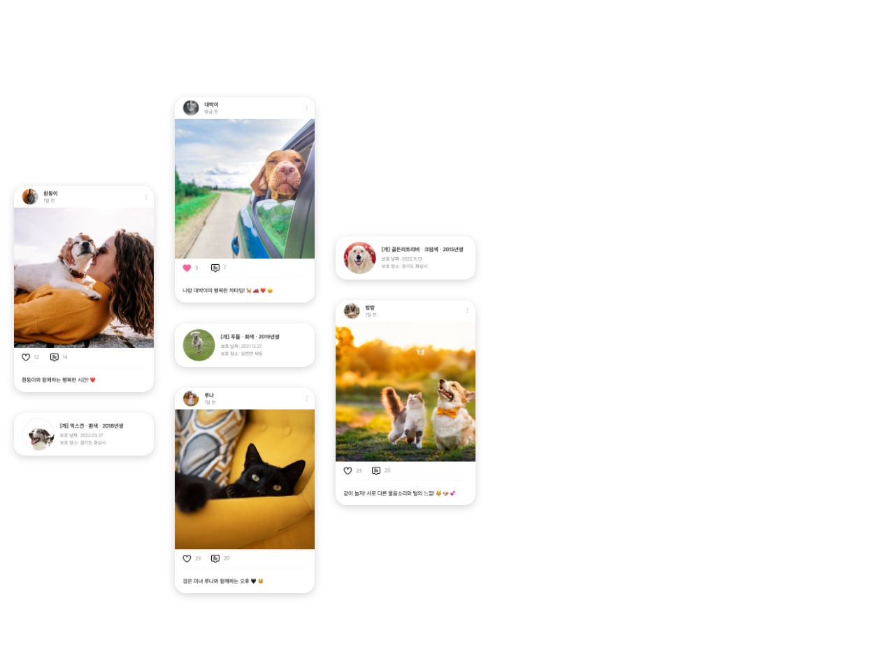 반려동물과 함께하는 모든 이야기 우리엔 톡!